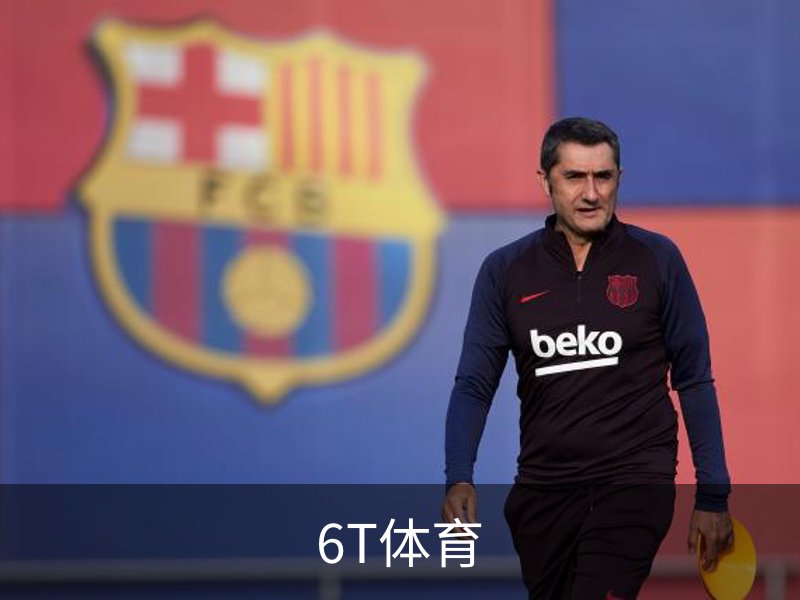 6T体育介绍